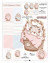 Digistamp + Digipaper Set Katzenkörbchen 
