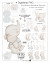 Digistamp + Digipaper Set Hej Fanti