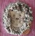 Igel Pepe 16x26